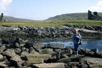 The Urie Shoreline, Fetlar