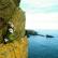 Sea Aster grows on the side of a cliff.