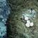 Snowy Owl nest with four eggs