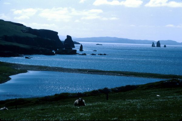 Looking out from Braewick Bay to the Drongs