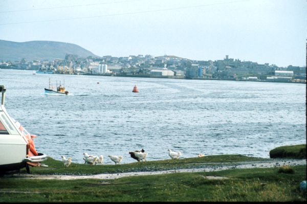 The town of Lerwick, as seen from Griemsta